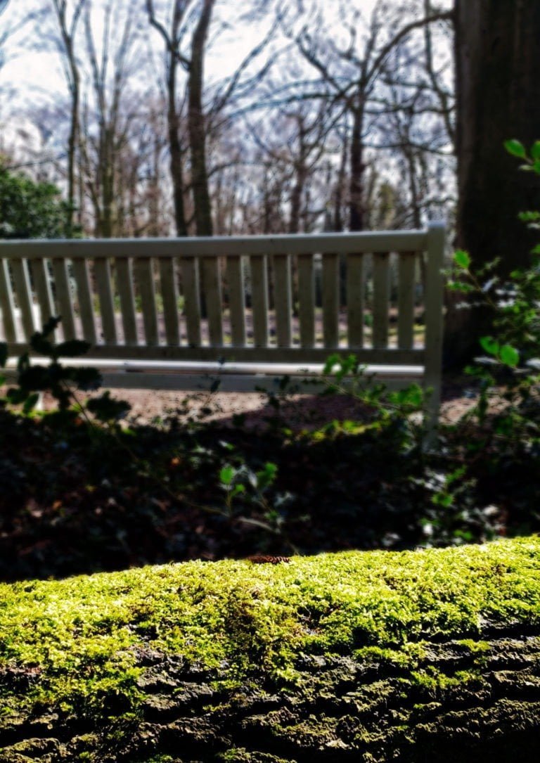 Zo simpel, de eenvoud van het leven