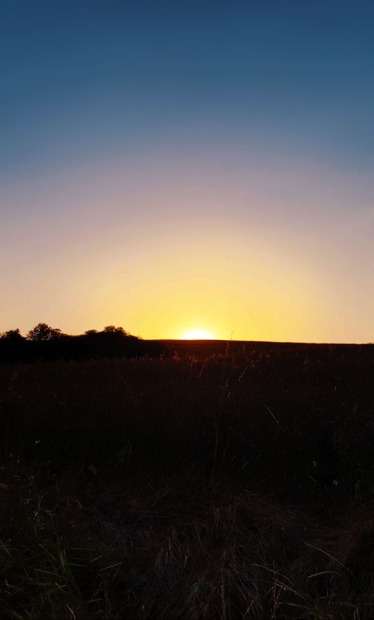 Alles waar je van droomt