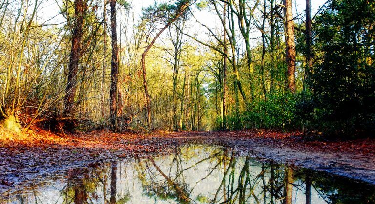 Wat is de werkelijkheid?