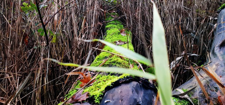 We zijn niet voor rede vatbaar, maar denken dat we dat zijn