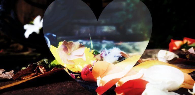 Stilte in de storm, de beweging van ons denken en emoties