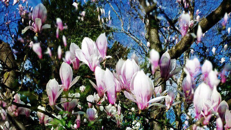 Leven, het zachte ritme van niet(s) weten