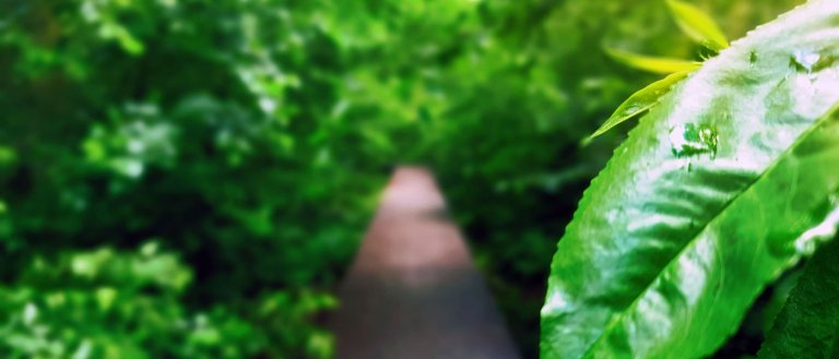 De grootste verandering in mijn leven