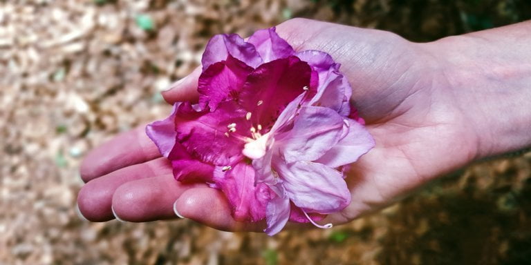 Leven in het licht, leven in het donker
