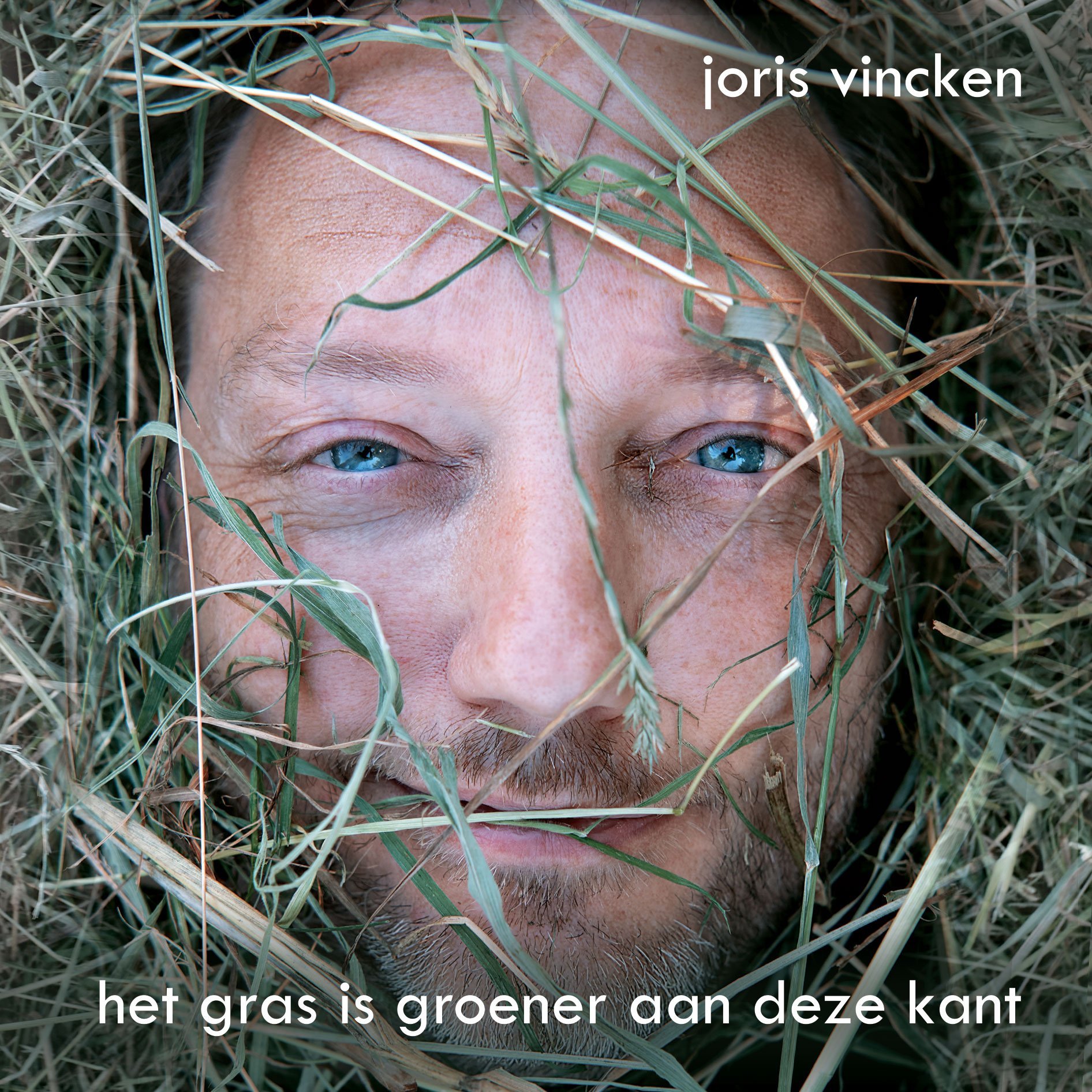 Joris Vincken dichtbundel Het gras is groener aan deze kant