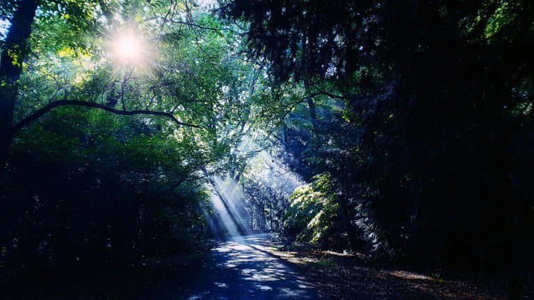 De juiste keuze, ben ik voor of tegen?