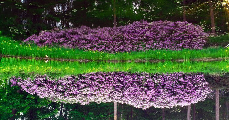 Leven in vrede, de uitdaging van jezelf zijn