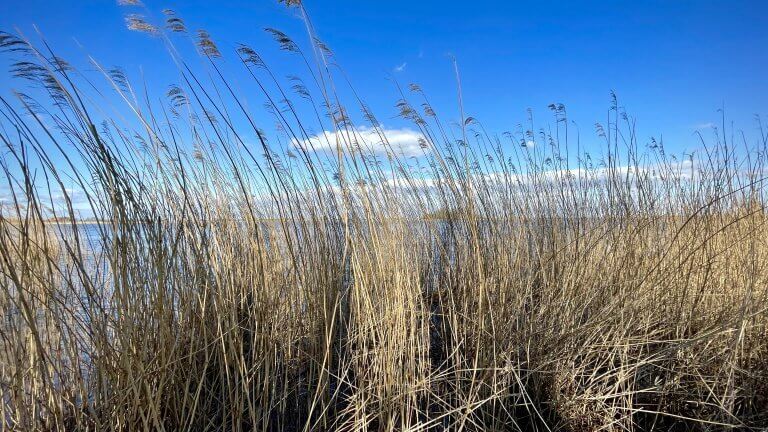 Waar verdween mijn vrijheid?