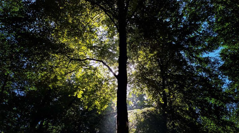 De kracht van geduld