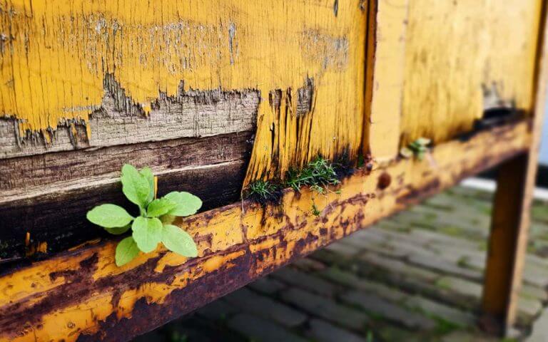 Stoppen met verstoppen