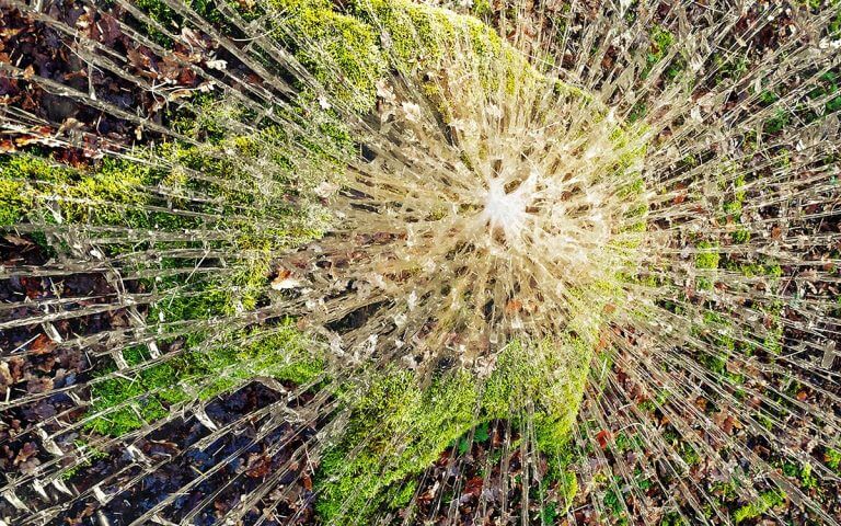 Hoe vertrouw ik mezelf?