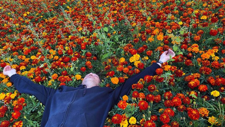 De kracht in negatieve emoties