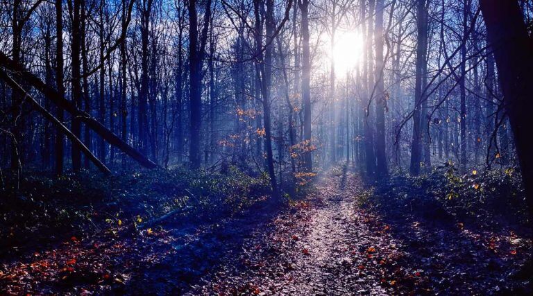 Verbeter je leven door niet langer (je leven te hoeven verbeteren)