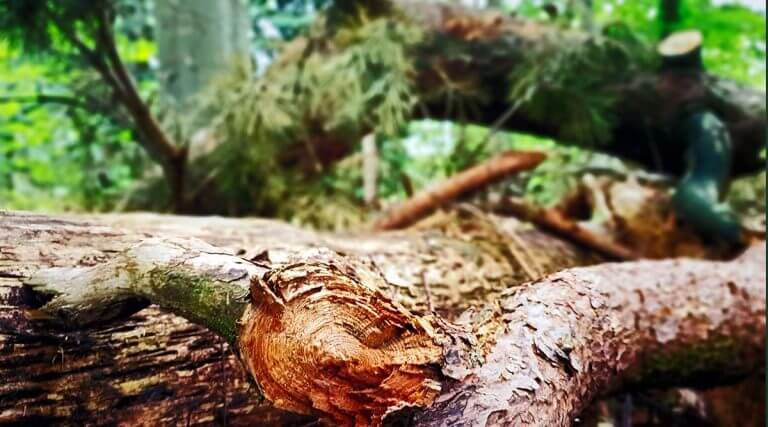 Wat je zoekt is hier, niet morgen, dadelijk of straks