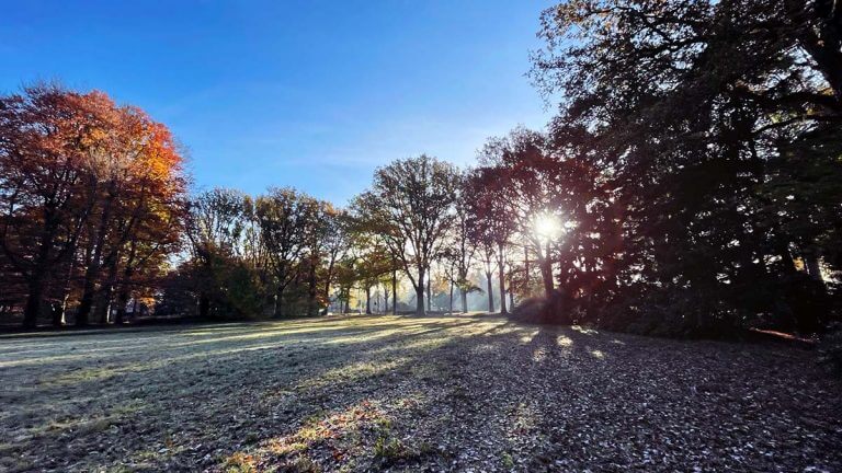 Werkelijke verbinding