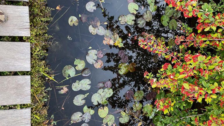 Er is meer goed dan fout