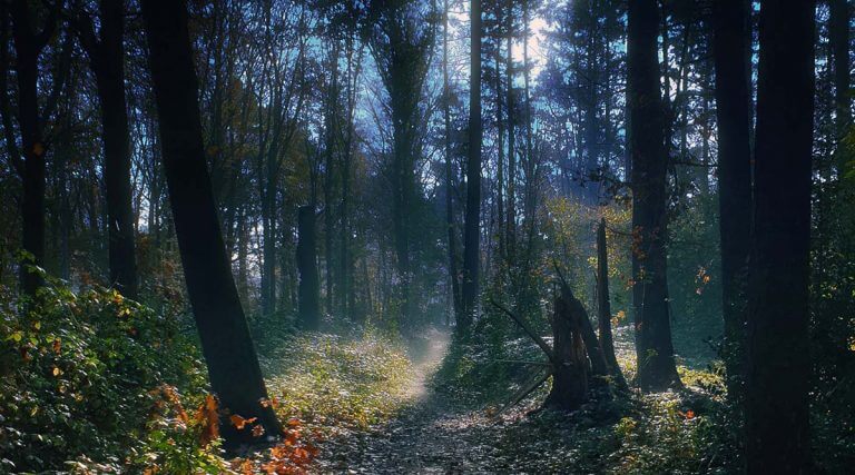 Het mooiste weten is niet weten