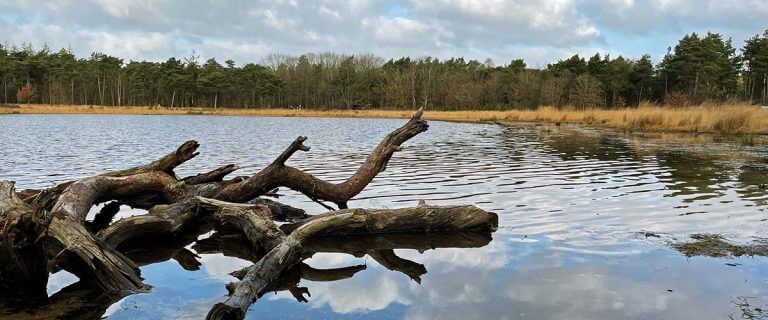 Je mag er helemaal zijn