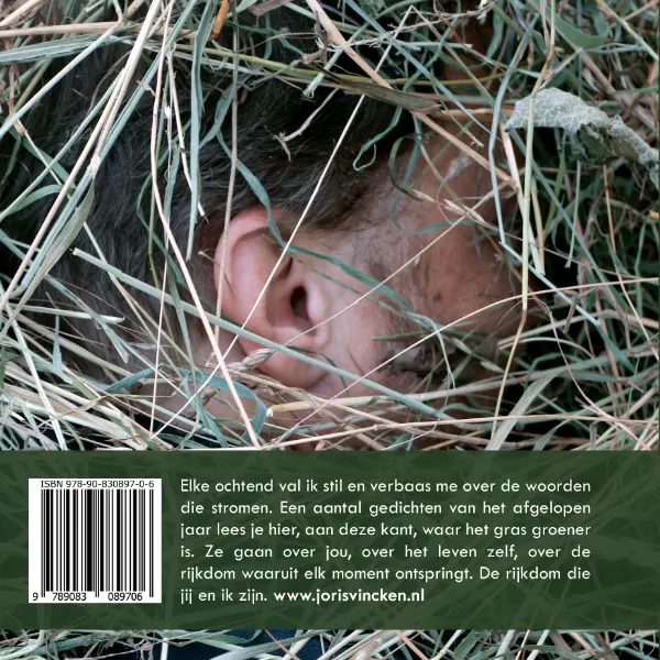 Het gras is groener aan deze kant rug