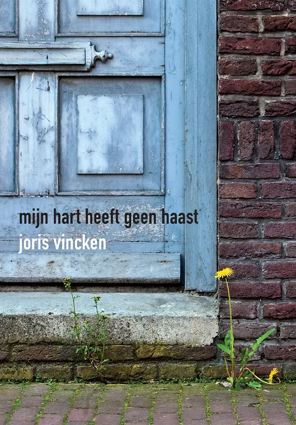 Mijn hart heeft geen haast 3 Boek Mijn hart heeft geen haast