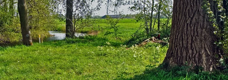 De aarde en het milieu