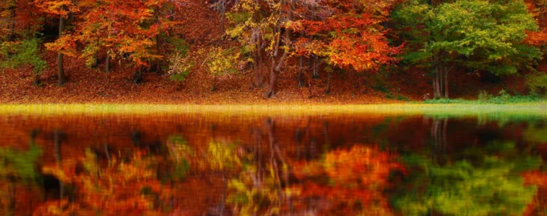 Leven in het nu, zijn – echt zijn