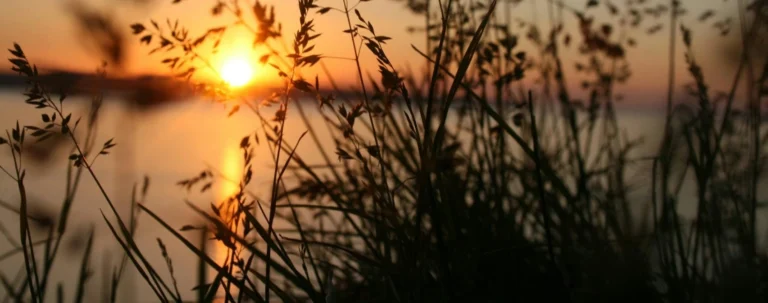 Ik vertrouw niet dat het goed komt, ik vertrouw dat het goed is