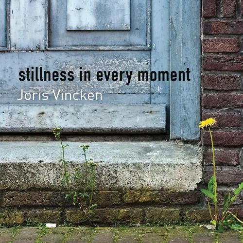 Stillness in every moment op cd, Spotify en Apple Music