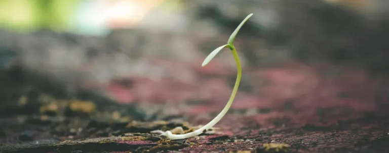 Niet genoeg, je bent genoeg