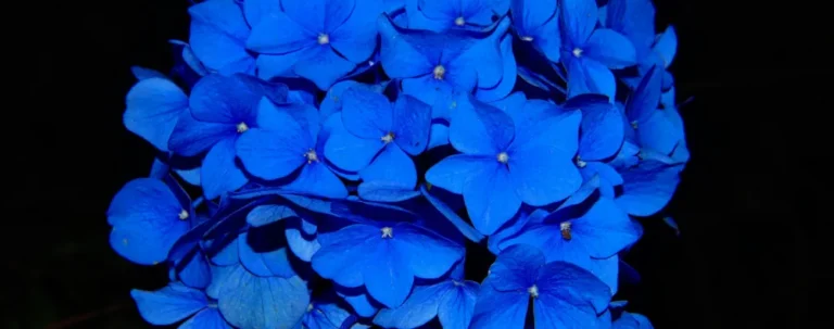 Hoe leer ik ontvangen?, Uitgeput door altijd maar te geven