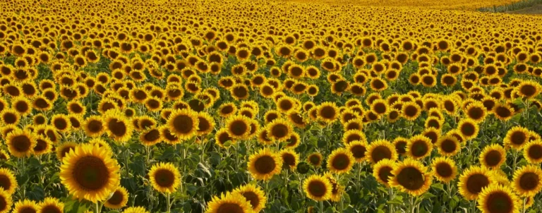 Houden van mezelf, hoe doe ik dat?