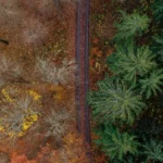 Leven met de helft van jezelf